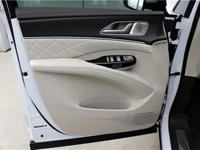 Denza Denza D9