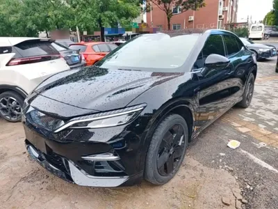 BYD L EV