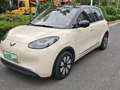 Wuling Bingo