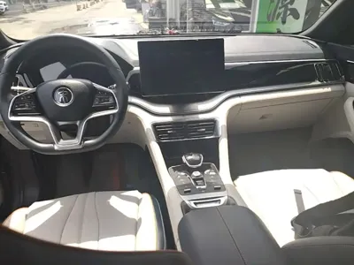 BYD PLUS New Energy
