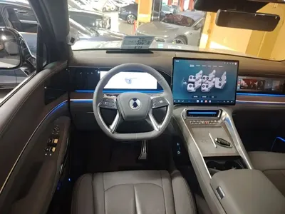 Denza 腾势N9