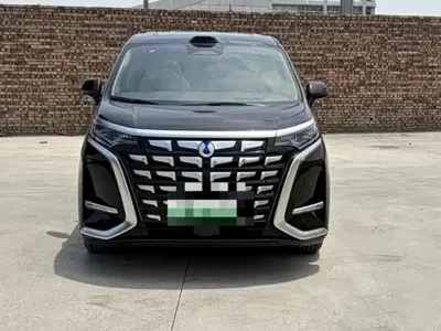 Denza Denza D9