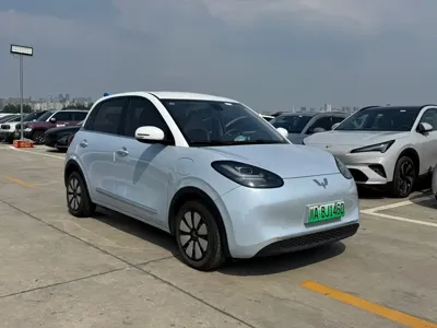 Wuling Bingo