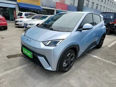 BYD Seagull