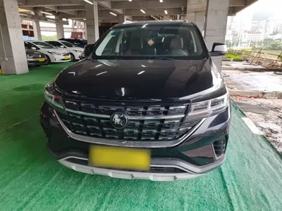 Fengxing Fengxing T5