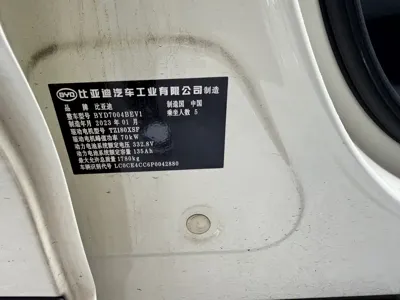 BYD Dolphin