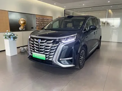 Denza Denza D9
