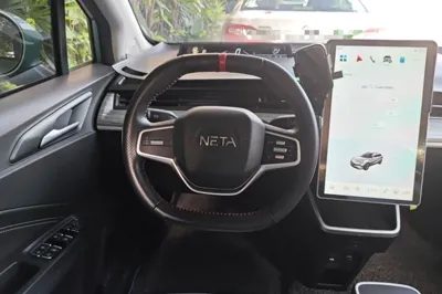 NETA V