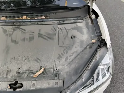 NETA Neta V