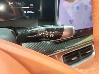 NETA Neta L