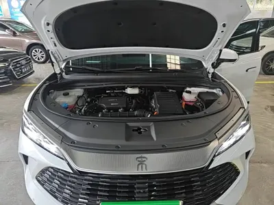 BYD L DM-i