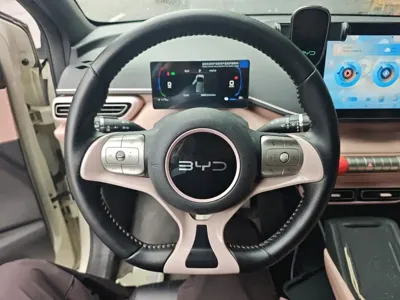 BYD Seagull