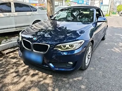 BMW 2 Series (Import)