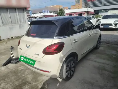 Wuling Bingo