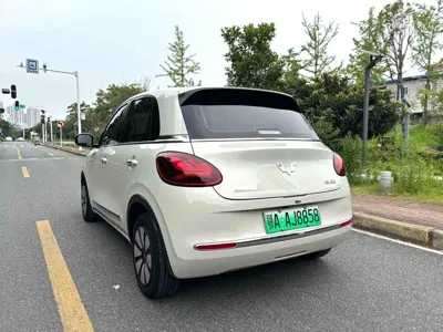 Wuling Bingo
