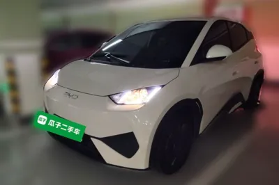 BYD Seagull
