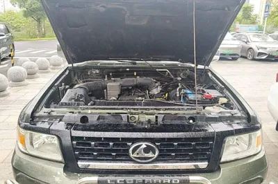 Leopaard Q6