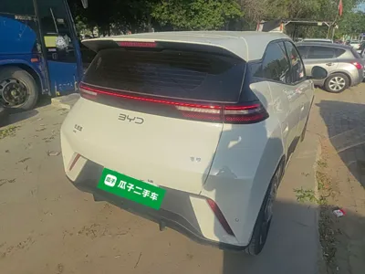 BYD Seagull