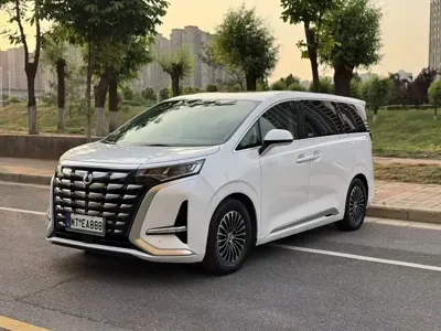 Denza Denza D9