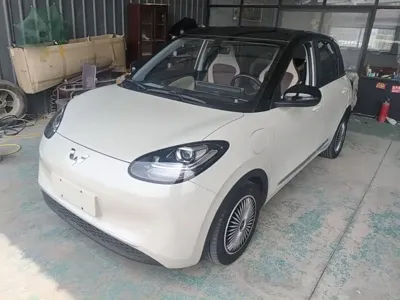Wuling Bingo