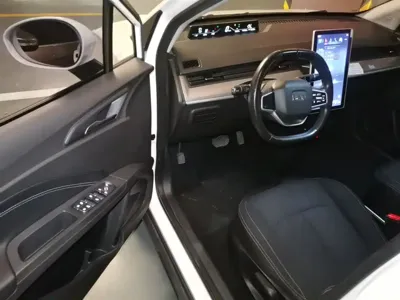 NETA Neta V