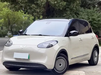 Wuling Bingo