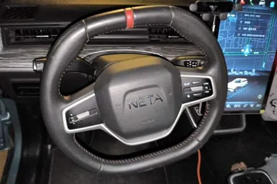 NETA V