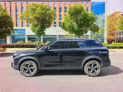 Chery Explorer 06