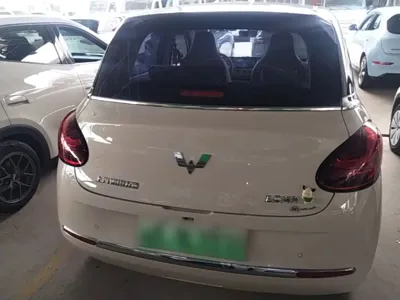 Wuling Bingo