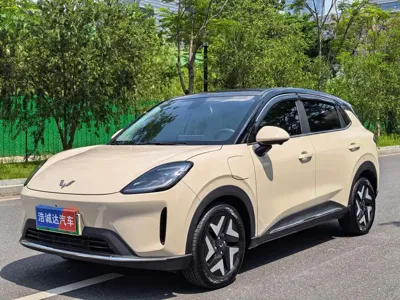 Wuling 缤果S