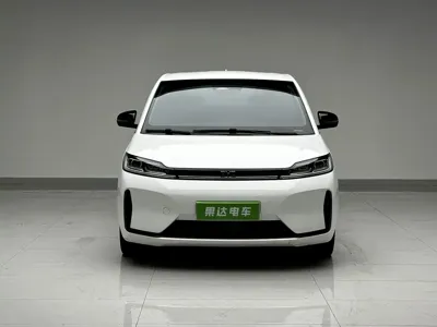 BYD D1
