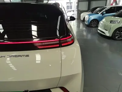 BYD Seagull