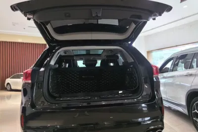 WEY VV6