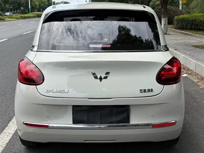 Wuling Bingo