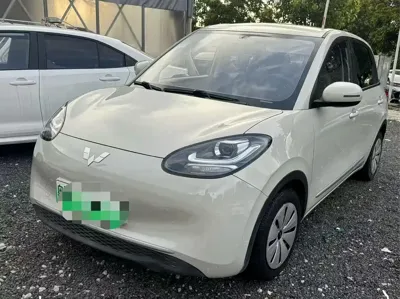 Wuling Bingo