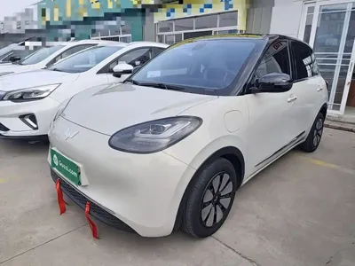 Wuling Bingo