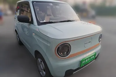 Geely Galaxy Panda