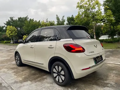 Wuling Bingo