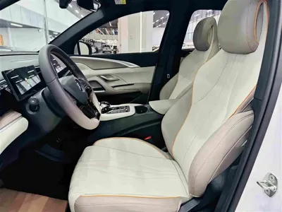 BYD Pro New Energy