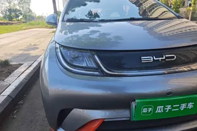 BYD Dolphin
