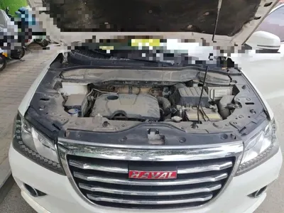 Haval H2
