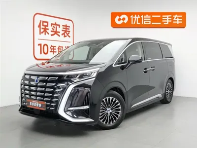 Denza Denza D9