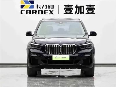 BMW X5 New Energy (Import)