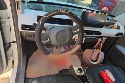 Geely Galaxy Panda