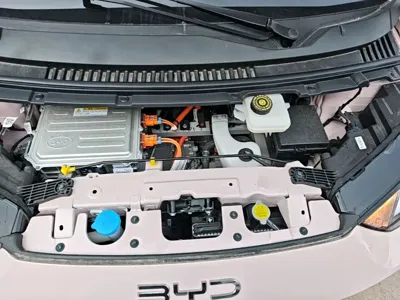 BYD Seagull