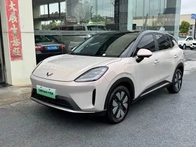 Wuling 缤果S