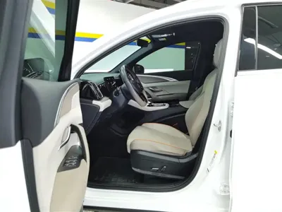 BYD Pro New Energy
