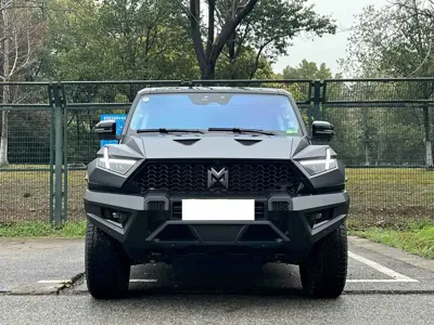 Mengshi Mengshi 917