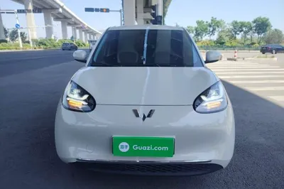 Wuling Bingo