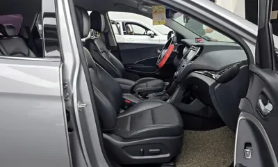 Hyundai Maxcruz